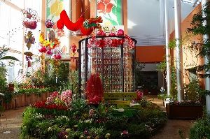 チューリップ四季彩館常設展「季節を彩る花々～新春～」
