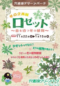 宍道湖グリーンパーク冬の企画展「ロゼット〜春を待つ冬の植物」