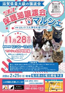 百町保護猫譲渡会＆マルシェ（1月）