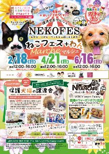 ねこフェス＋わんマルシェ　保護犬猫譲渡会（2月）