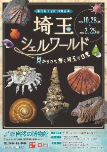 特別展「埼玉シェルワールド ー貝からひも解く埼玉の自然ー」