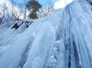 氷瀑鑑賞 ハイキング 八ヶ岳 山麓「絶景・アイスワールド」冬のアウトドア 自然体験 ツアー