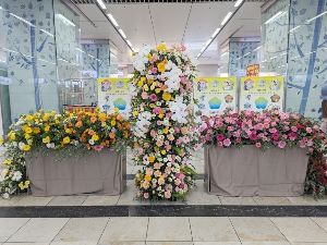 フラワーバレンタインで“おもてなし” 県産花きを使用したフラワーフォトスポット（JR新飯塚駅）