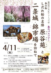 春のバスツアー しだれ桜の名勝 原谷苑 と 二条城・錦市場を訪ねて