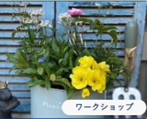 国営昭和記念公園　花とみどりの寄せ植え教室「パステルカラーの春の寄せ植え」