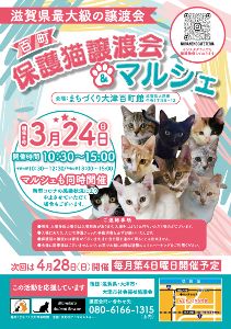 百町保護猫譲渡会＆マルシェ（3月）