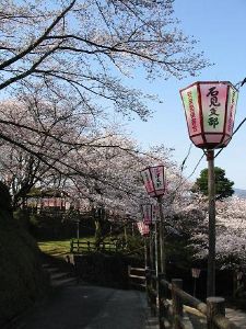 安来公園桜まつり