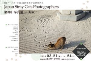 Japan Stray Cats Photographers 第3回写真展 in 大阪