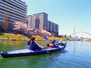 桜お花見カヤック満喫クルーズ　東京水路・運河 カヌー体験