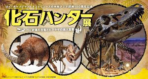 新潟県立万代島美術館 企画展「化石ハンター展～ゴビ砂漠の恐竜とヒマラヤの超大型獣～」