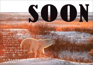 丹葉暁弥『SOON　氷の橋を目指すシロクマ』写真展