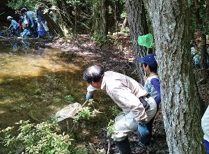 広島市森林公園　モリアオガエル観察会