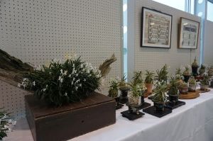 富貴蘭と古典園芸植物展