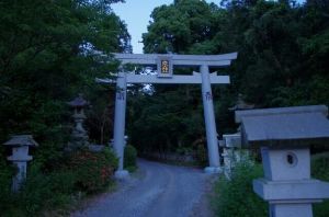 ホタル観賞　大水上神社周辺（宮川）