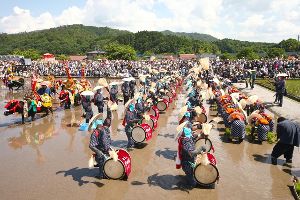 壬生の花田植 ～無形文化財合同まつり～