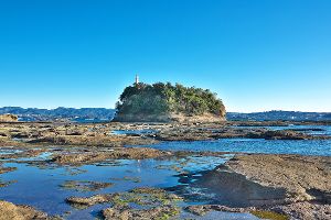 吉野熊野国立公園パートナーシップイベント「初夏の海辺を楽しもう」