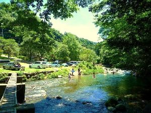 2024水恋鳥広場　BBQ ＆水遊び