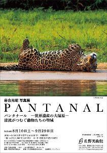 岩合光昭写真展　PANTANAL　パンタナール　―世界遺産の大湿原―　清流がつむぐ動物たちの聖域