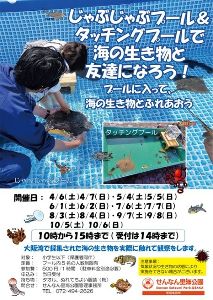 じゃぶじゃぶプール＆タッチングプール（7月）