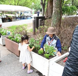 「花の苗を植えよう」ふくおか景観フェスタ～第18回福岡県景観大会