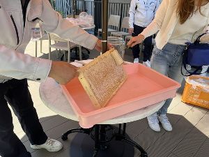 自由研究応援！夏休み都市養蜂チャレンジプログラム