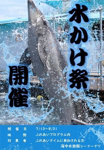 水かけ祭り