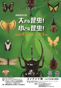 第106回企画展「大きな昆虫！小さな昆虫！」