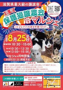 百町保護猫譲渡会＆マルシェ（8月）