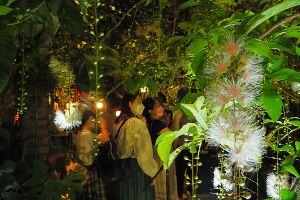 夜の植物園