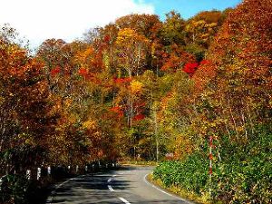 【紅葉・見ごろ】登別温泉　オロフレ峠