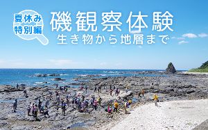 磯観察体験イベント夏休み特別編
