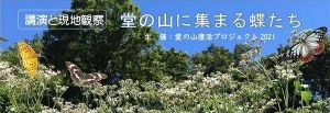 「堂の山に集まる蝶たち」講演会と現地観察会