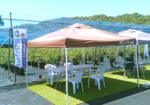 blueberryfarmさなごうち ブルーベリー狩り