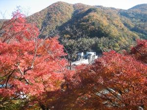 大野ダムもみじ祭り