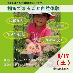 棚田でまるごと自然体験