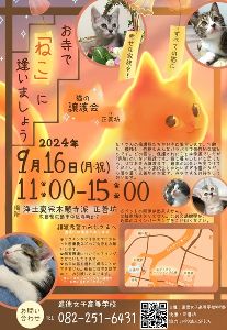 お寺で「ねこ」に逢いましょう 保護猫 譲渡会 in 正善坊