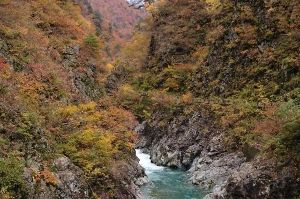 【紅葉・見ごろ】五十沢渓谷
