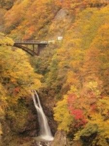 【紅葉・見ごろ】関温泉　不動滝