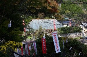 【紅葉・見ごろ】鶴富屋敷