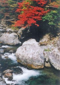 【紅葉・見ごろ】尾前渓谷