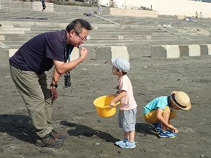 砂浜へでかけよう