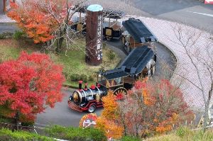 【紅葉・見ごろ】霧島神話の里公園