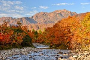 【紅葉・見ごろ】銀山平