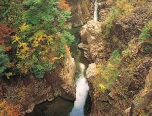 【紅葉・見ごろ】川浦渓谷