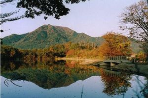 【紅葉・見ごろ】角田山
