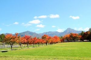 【紅葉・見ごろ】八ヶ岳中央農業実践大学校