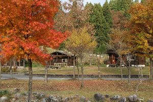 【紅葉・見ごろ】滝谷森林公園