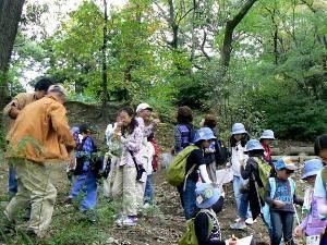 太子町葉室里山クラブ 里山たんけん隊「どんぐりで遊ぼう」