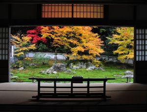 【紅葉・見ごろ】宗鏡寺