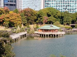 【紅葉・見ごろ】浜離宮恩賜庭園